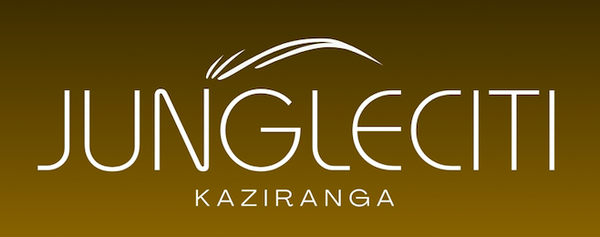 Jungleciti Logo